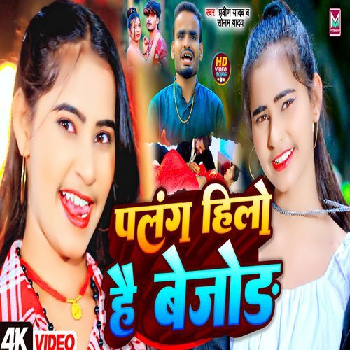 Palang Hilo Hai Bejor