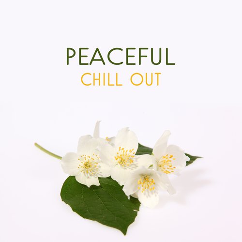 Ibiza Chill Out cover art