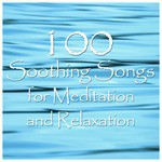 Quiet Moments: 100 Relaxing Songs