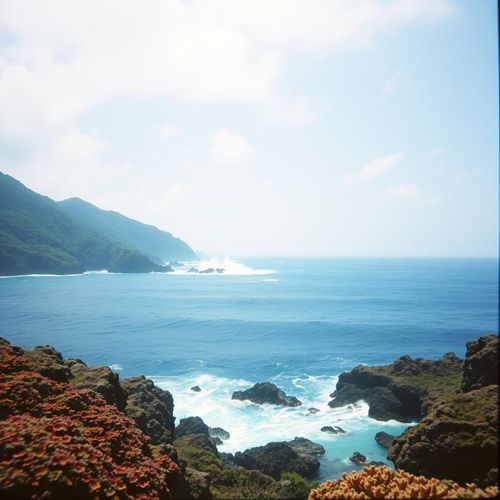 Roots and Ocean