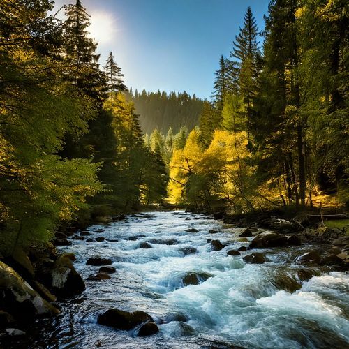 Rushing Mountain River Sounds cover art