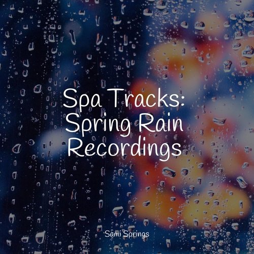 Spa Tracks: Spring Rain Recordings_poster_image