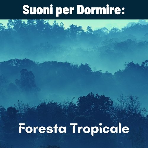 Suoni per dormire cover art