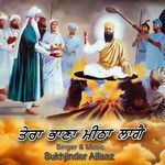 Tera Bhana Meetha Laage