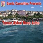 Tomar Ashay Boseache