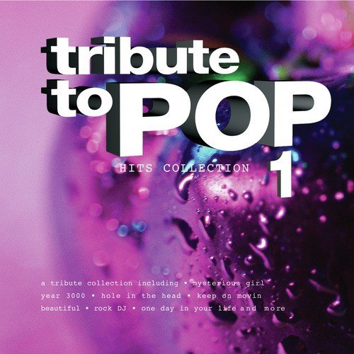 Tribute to Pop - Hits Collection 1