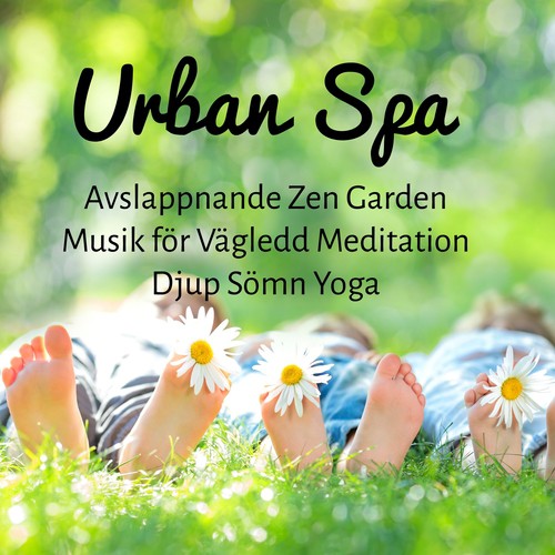 Buddha Zen Spa cover art