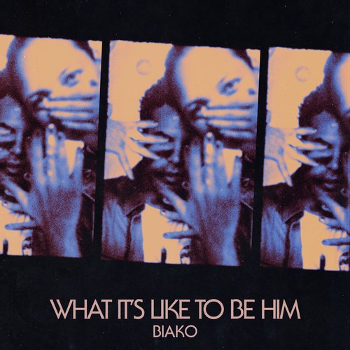 What It&#039;s Like To Be Him_poster_image