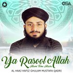 Ya Rasool Allah Hum Tere Hain