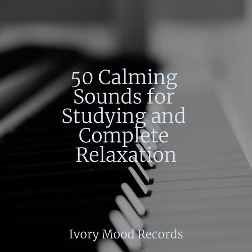 50 Calming Sounds for Studying and Complete Relaxation