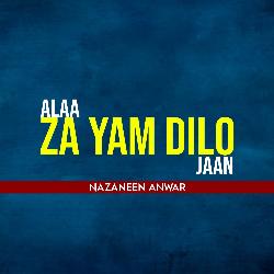 Alaa Za Yam Dilo Jaan