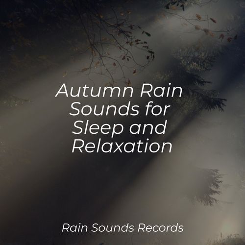 Autumn Rain Sounds for Sleep and Relaxation