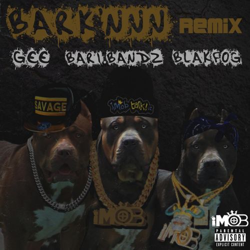 Bark'nnn Baby (Remix) cover art