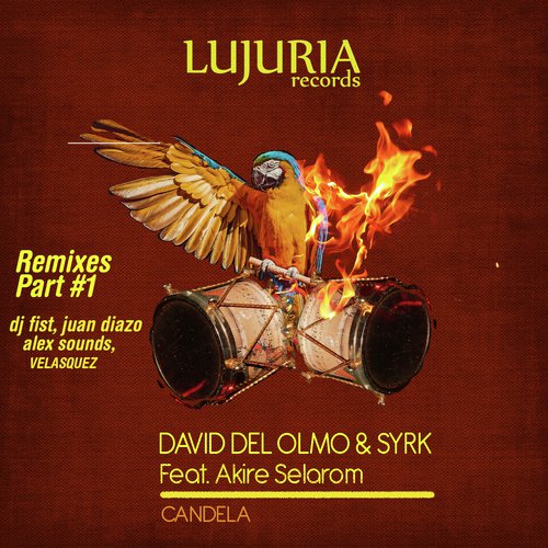 Candela (DJ Fist Remix) cover art