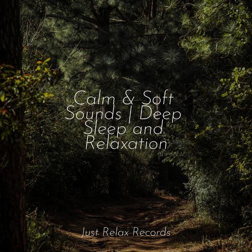 Calm & Soft Sounds | Deep Sleep and Relaxation