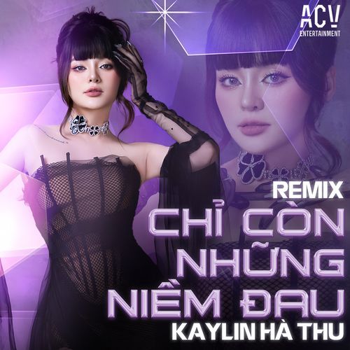 Chỉ Còn Những Niềm Đau (Remix)