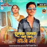 Chamak Chamak Nache Janu Dj Ma Full Track Part 1
