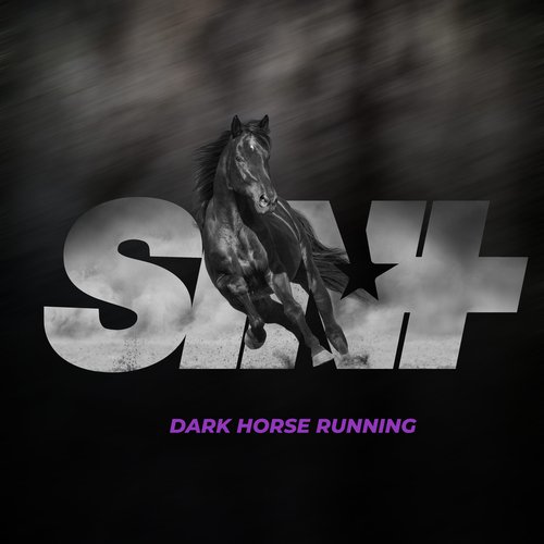 dark horse lyrics