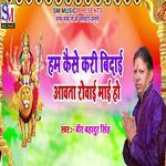 Ham Kaise Kari Bidai Aavta Rowai Mai Ho