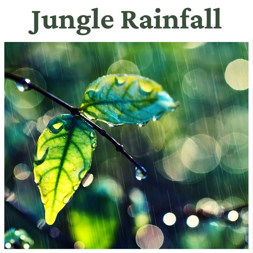 Jungle Rainfall - Relaxing Nature Sounds for Meditation, Sleep, Yoga