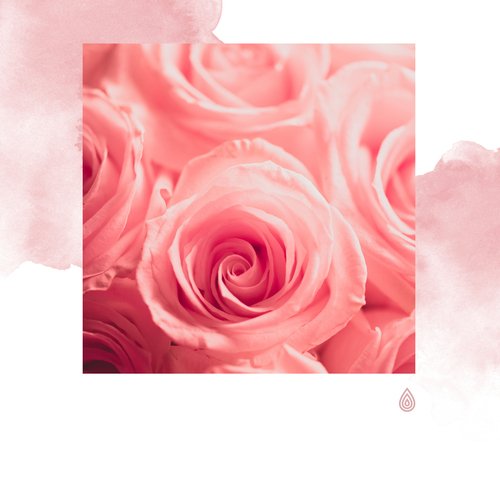 Mélodies d'amour pour votre portail romantique