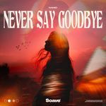 Never Say Goodbye