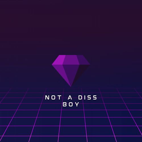 Not a Diss Boy