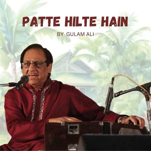 Patte Hilte Hain