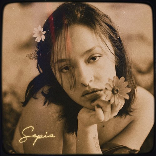 Pereza cover art