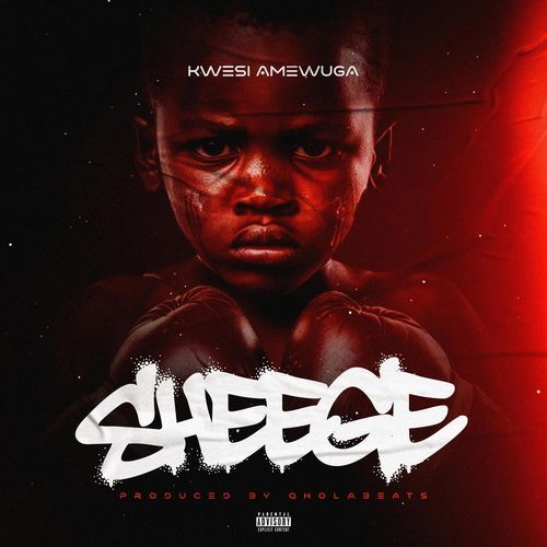 Sheege cover art