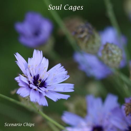 Soul Cages_poster_image