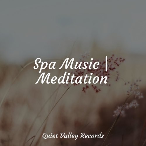 Spa Music | Meditation_poster_image