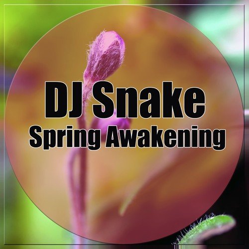 Spring Awakening