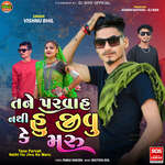 Tane Parvah Nathi Hu Jivu Ke Maru