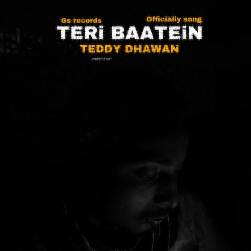 Teri Baatein