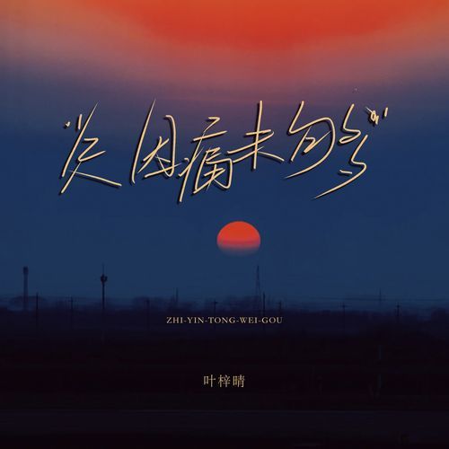 只因痛未够 (伴奏)