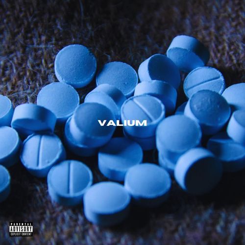 Salvo cover art