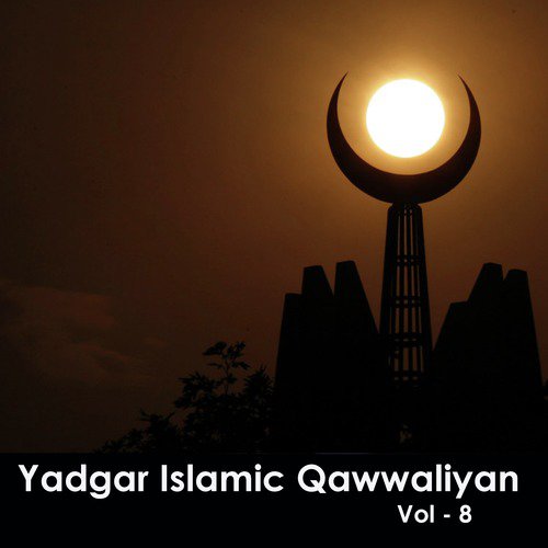 Yaadgar Islamic Qawwaliyan, Vol. 8_poster_image