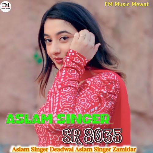 Aslam Singer SR 8035