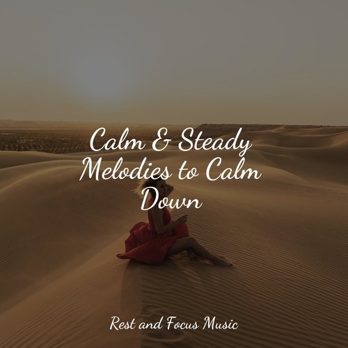 Calm & Steady Melodies to Calm Down