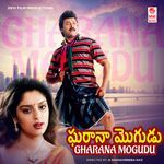 Bangaru Kodi Petta