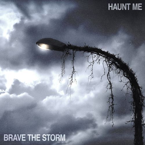 Haunt Me_poster_image