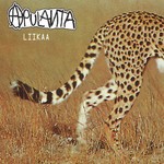 Liikaa