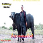 Mehar Bhanantisare artwork