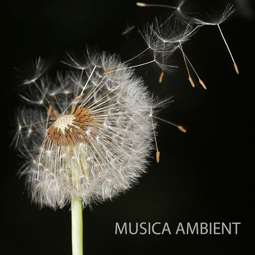 Winter Light cover art