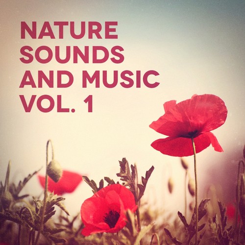 Nature Sounds and Music, Vol. 1