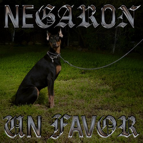 Negaron Un Favor_poster_image