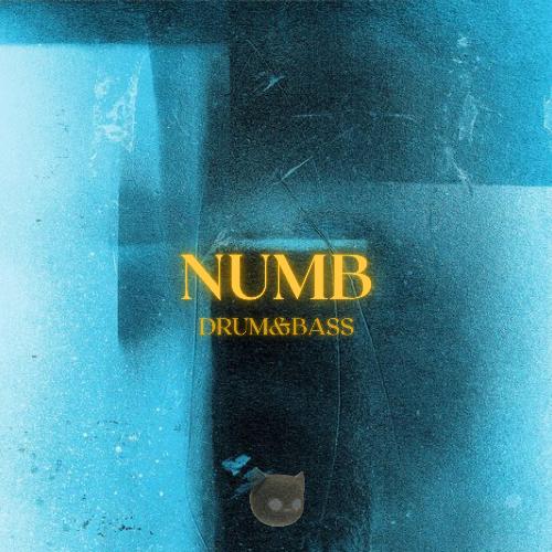 Numb (Drum and Bass)