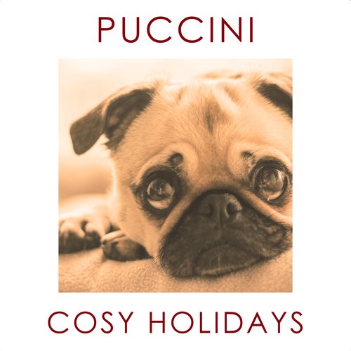 Puccini - Cosy Holidays_poster_image