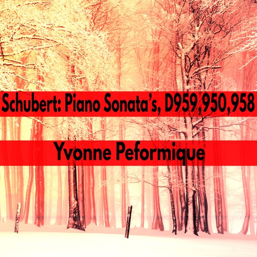 Sonata in C minor, D- 958 in C Minor, D958 IV- Allegro